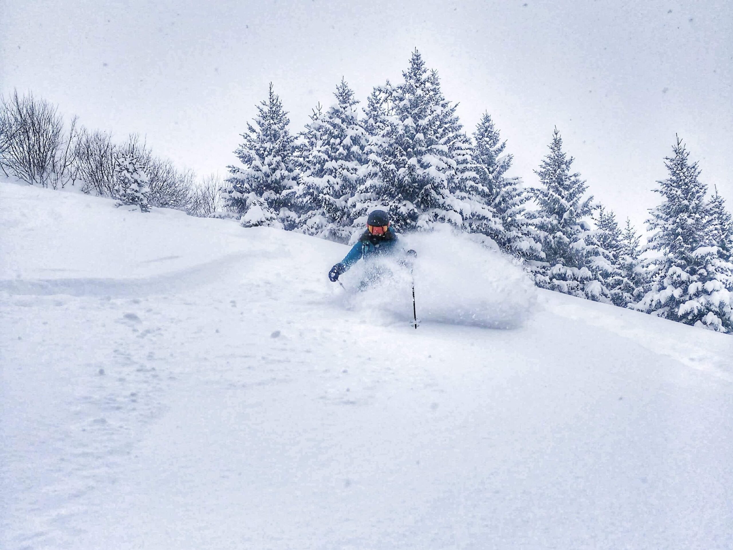 Powder turns into the trees