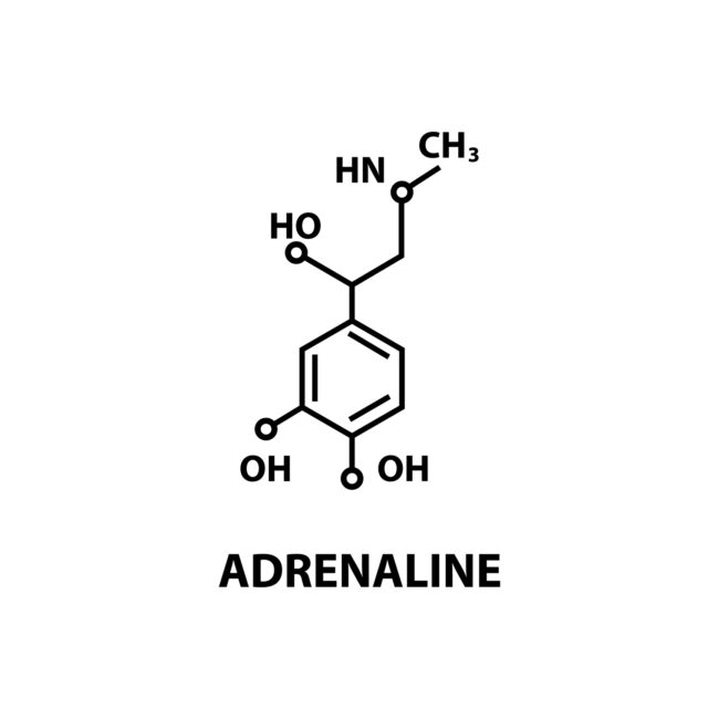 Lexicon: adrenaline