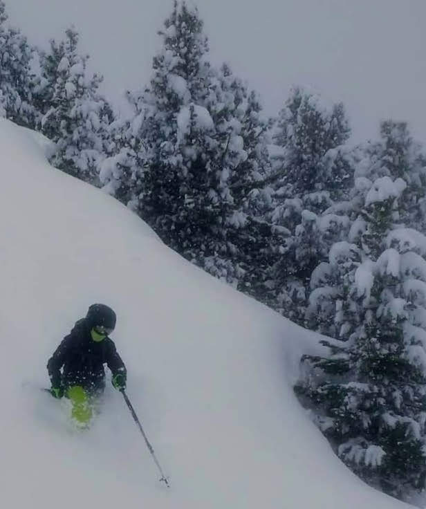 There's something magical about FreeRiding in trees. 