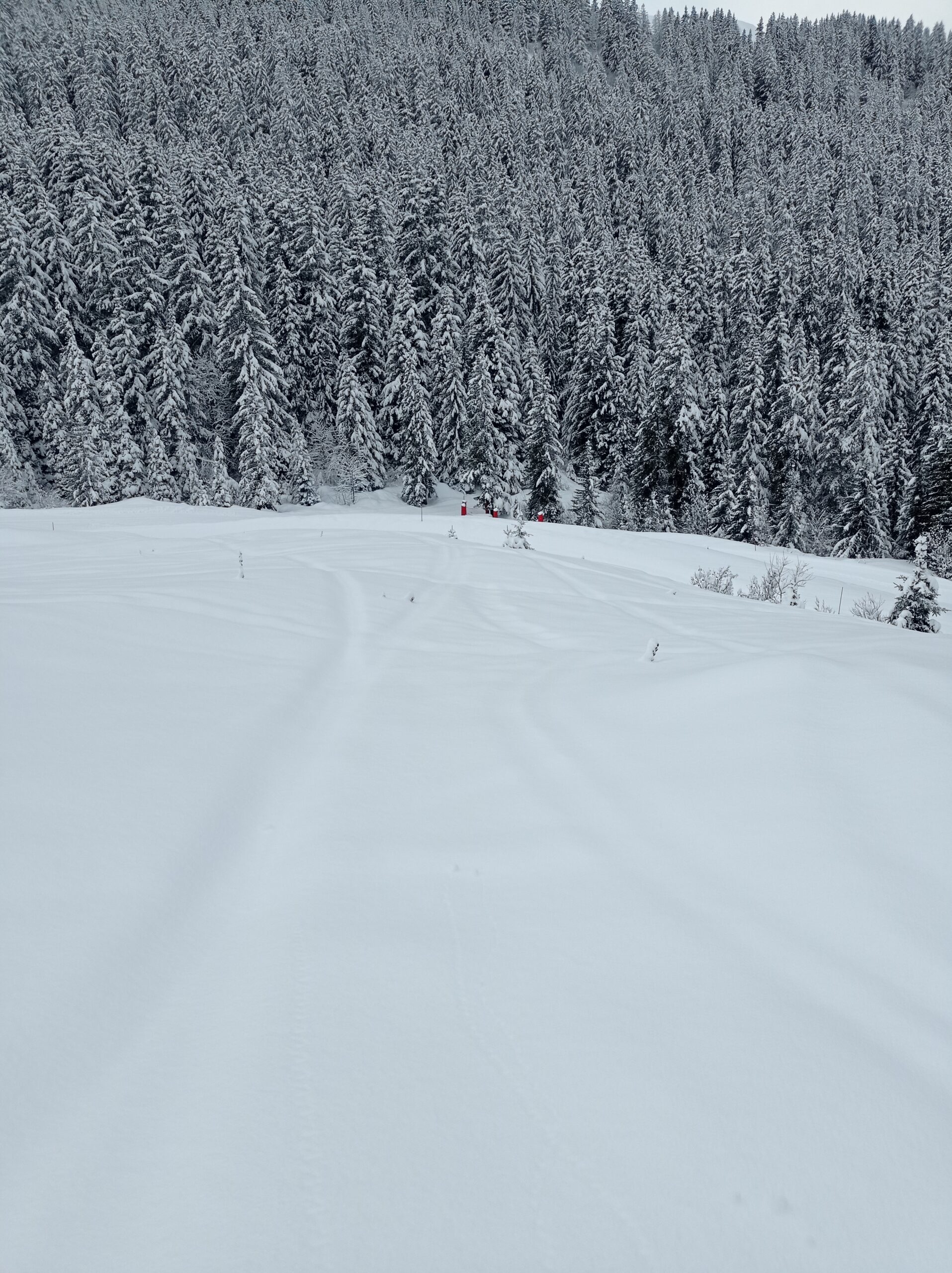 Looking down from the exit point at the Plan du Vah piste markers below.