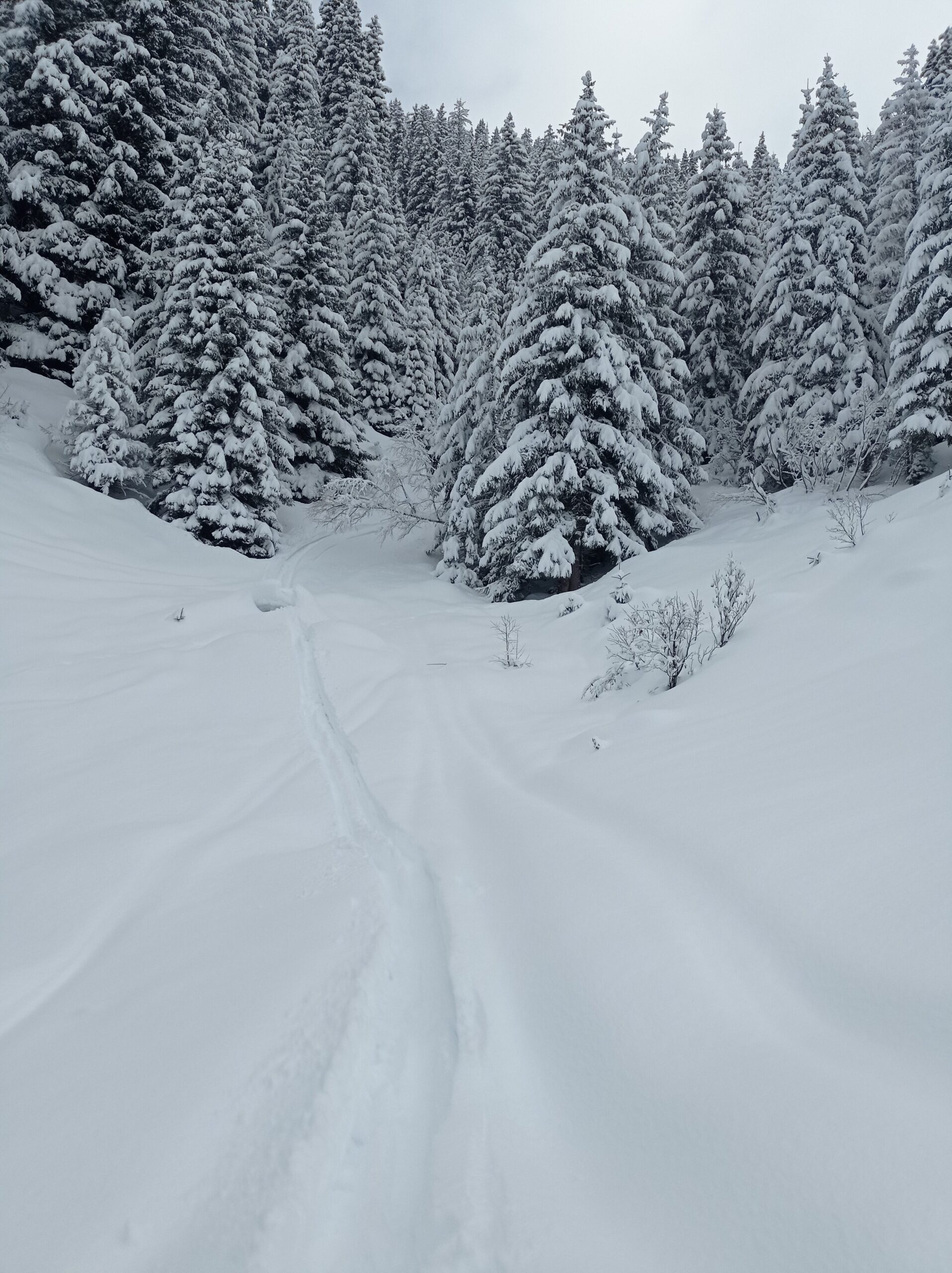 Looking up into the exit from the gully.