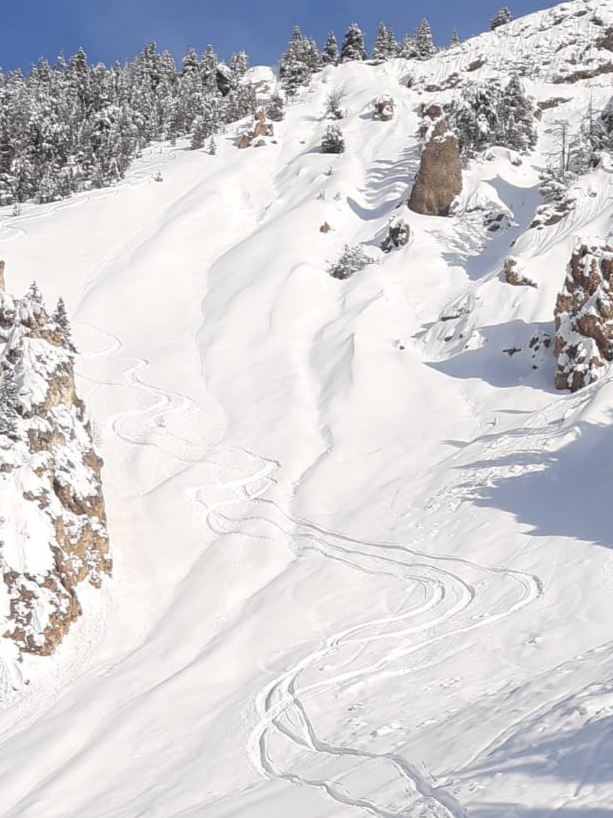 The bottom section of the line just above the stream you'll need to cross to join the bottom of the Plan du Vah piste. Depending on exactly where you exit you may need to use the service road to the Plan du Vah déchetterie (recycling centre) to get back to the piste.