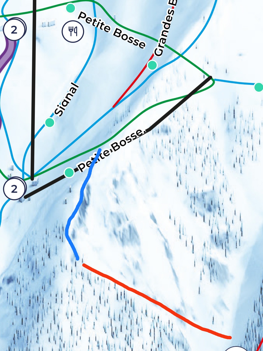 Follow the Petite Bosses green piste from the top of the button lift of the same name down to the obvious ridge line. Follow the walking path that ascends up the gentle slope of the ridge until you get to a little private chalet. From here follow your nose through the trees to access the west face and choose your entry point into the line. Route in marked in blue, descent in red.