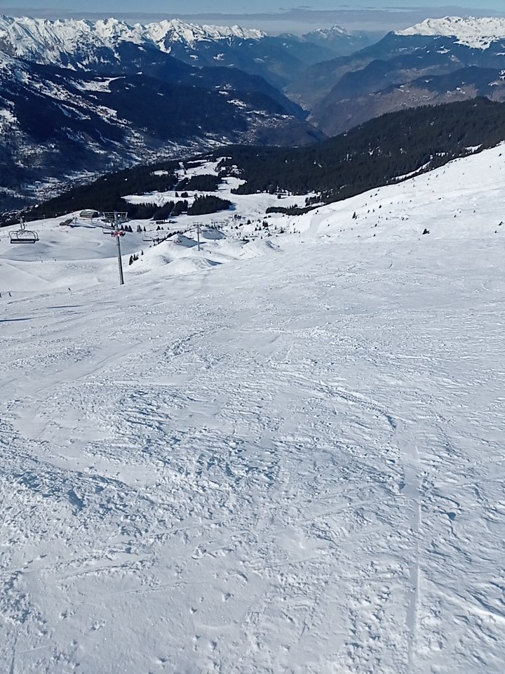 The view from the top of the Dent de Burgin chairlift.