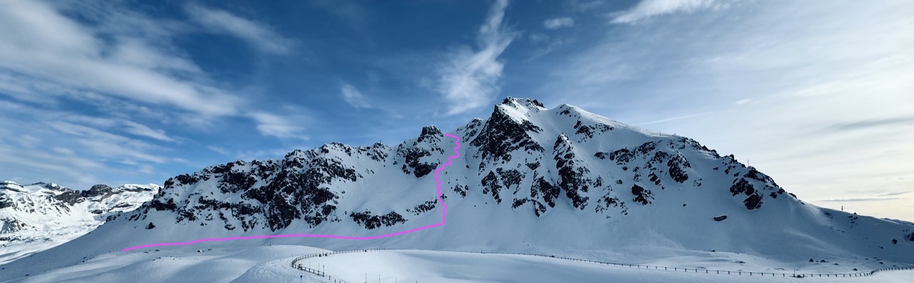 The Line (pink squiggle)